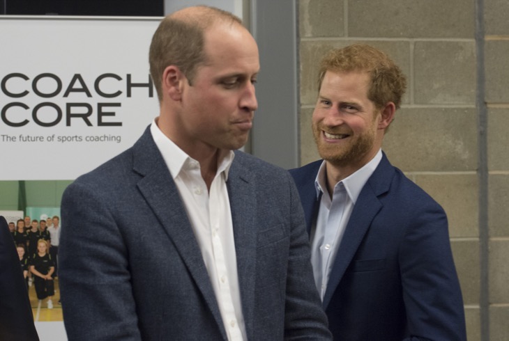 Prince Harry Asks Prince William To Be His Best Man At His Wedding