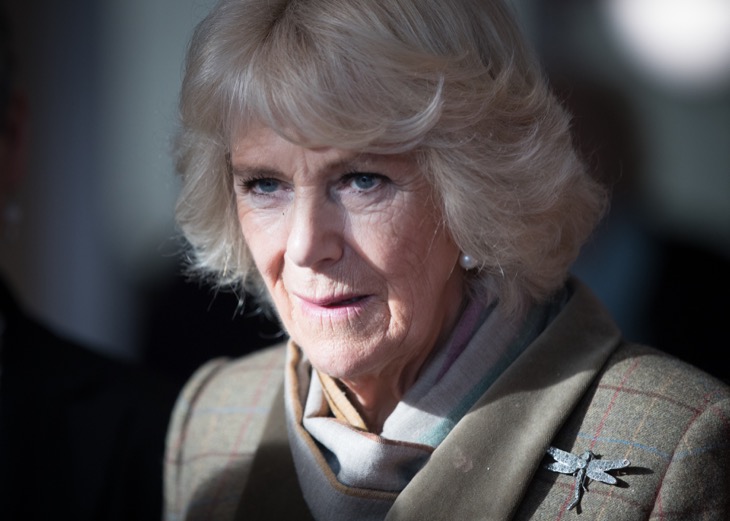 Camilla Parker Bowles Opens Up About Meghan Markle Family Drama