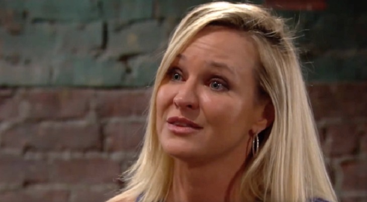 The Young and the Restless (YR) Spoilers: Sharon Rightly Concerned – Nick’s History at Newman Checkered