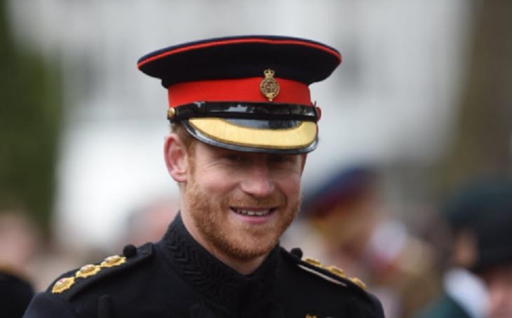 Prince Harry Posts First Instagram Story