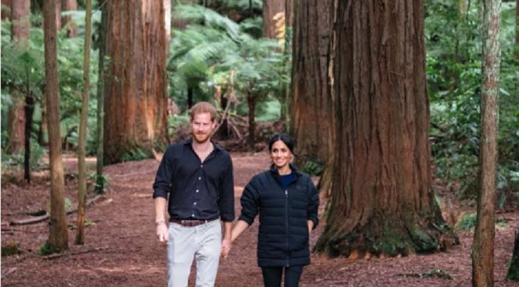 Meghan Markle’s New Christmas Traditions Revealed