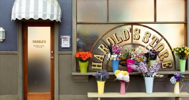 Neighbours Spoilers: Shocking Hostage Situation at Harold’s Store