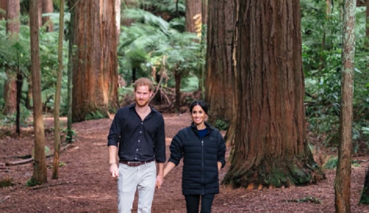 Prince Harry And Meghan Markle Make Big Changes For 2019