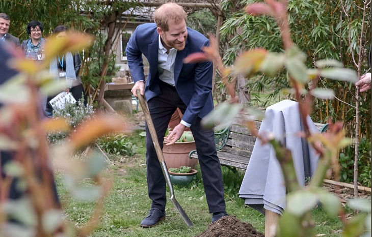 Prince Harry
