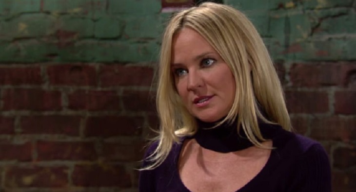 Young and the Restless (YR) Spoilers: Sharon’s Legal Trouble Busts Shey – Shick Reboot Possible