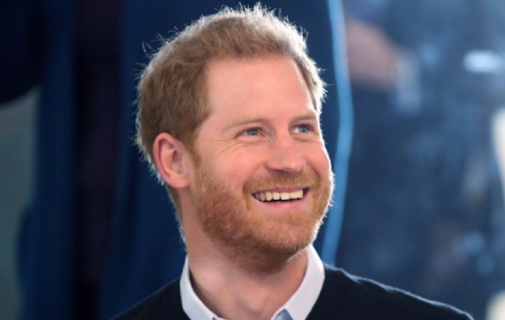 Prince Harry Planning New Trip To The Netherlands – Baby Sussex Already Born?